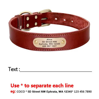 Custom Leather Dog Collar Leash Set