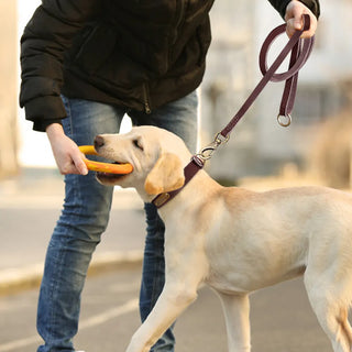 Custom Leather Dog Collar Leash Set