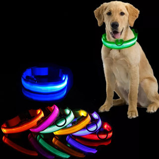 Led Collar for Dogs & Puppies