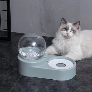 Pet Water Bowl & Food Automatic Feeder