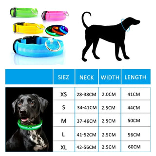 Led Collar for Dogs & Puppies