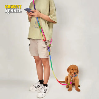 Reflective Nylon Leashes for Dogs