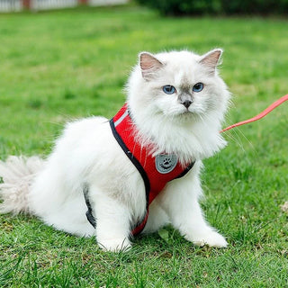 Nylon Mesh Cat & Dog Harness