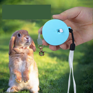 Flexible 2 Metre Pet Retractable Mini Leash