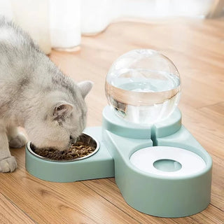 Pet Water Bowl & Food Automatic Feeder